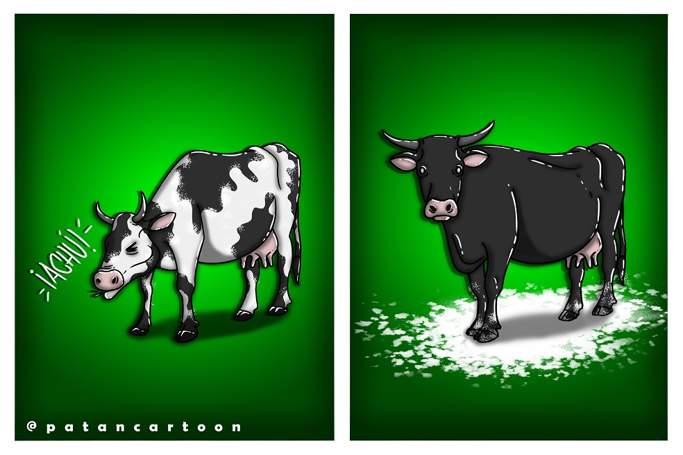 Narcovacas