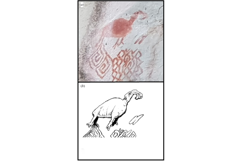 Pintura de 'Macraucheniidae' en La Lindosa y reconstrucción artística de Mike Keesey.