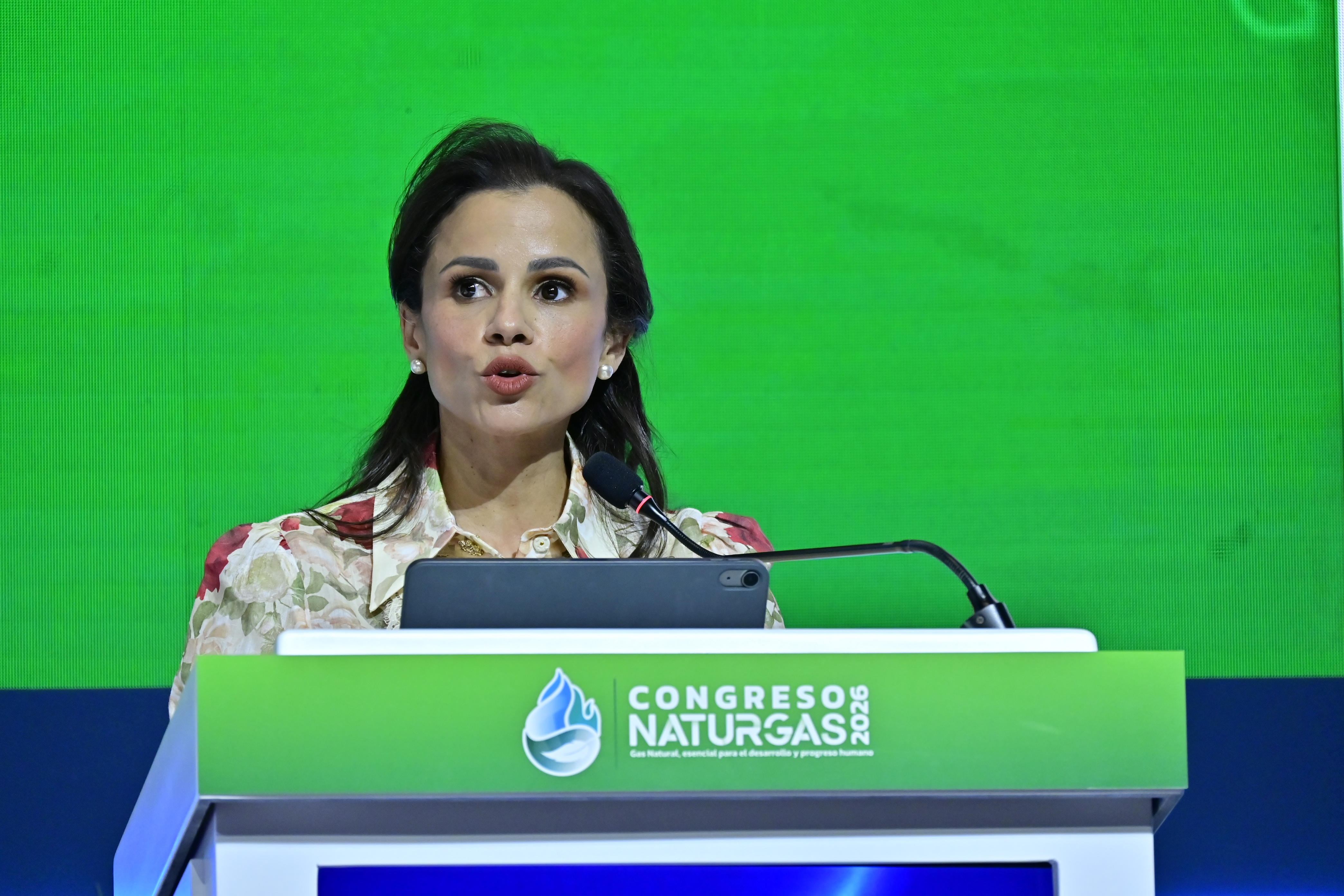 “Sirius no es suficiente para cubrir la demanda de gas a largo plazo”: Naturgás