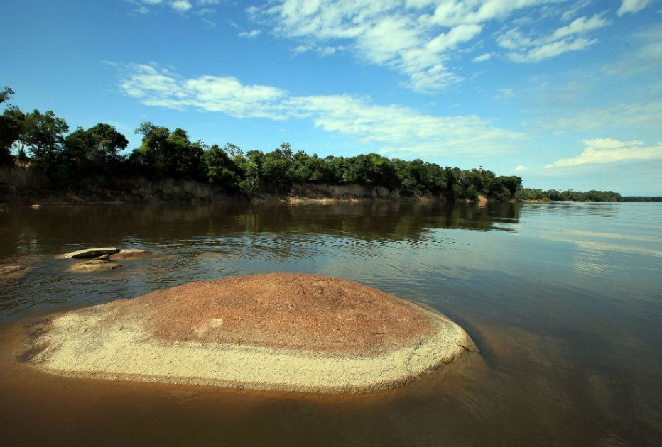 Inicia ONU-REDD Colombia, programa para mitigar el cambio climático