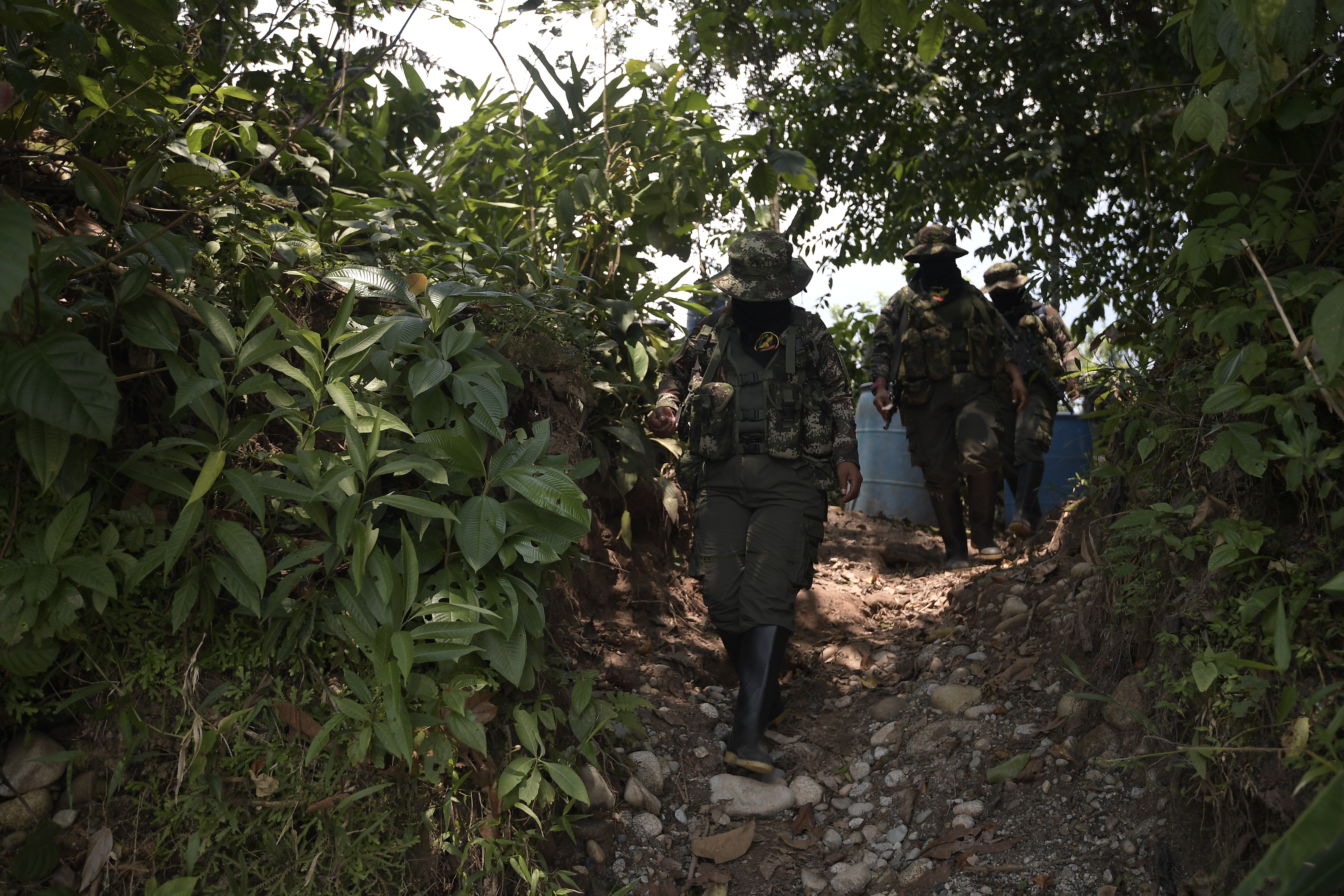 Organización político-militar adscrito a la Segunda Marquetalia y disidente del Acuerdo Final firmado con las FARC, dirigido por Giovanny Andrés Rojas, alias "Araña".