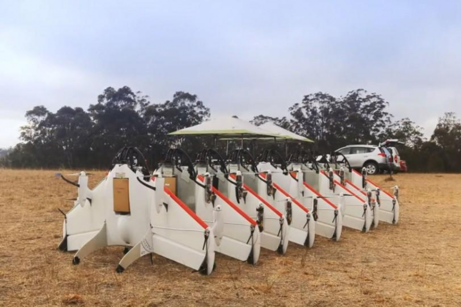 Así se ven los drones del 'Project Wing'.
