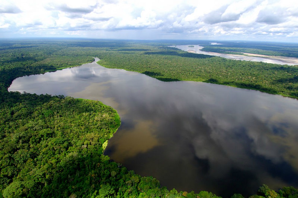 Noruega dará US$ 250 millones para que Colombia frene la deforestación en la Amazonia