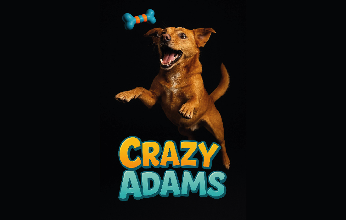 ¿Quiere ayudar a un animal? Este sábado hay jornada de adopción en Bogotá
