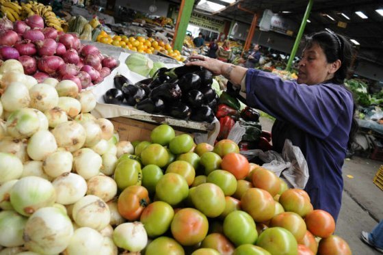 Conservadores también se oponen al IVA para la canasta familiar