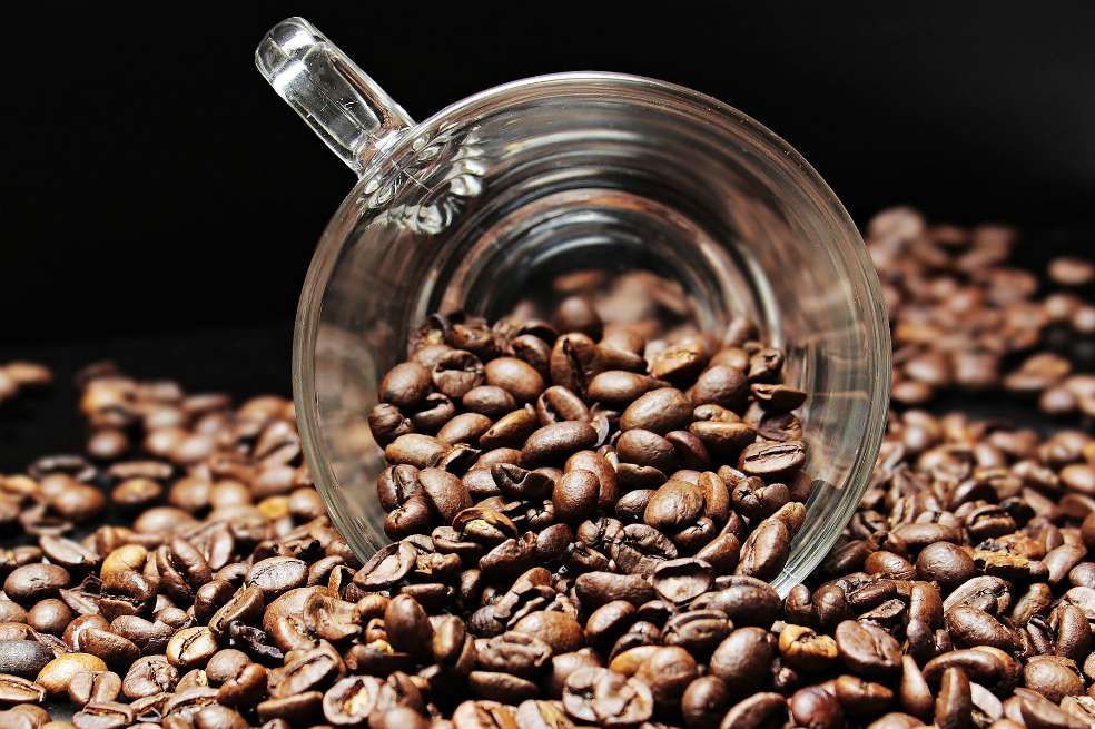La Universidad Libre, la primera del país en producir café orgánico