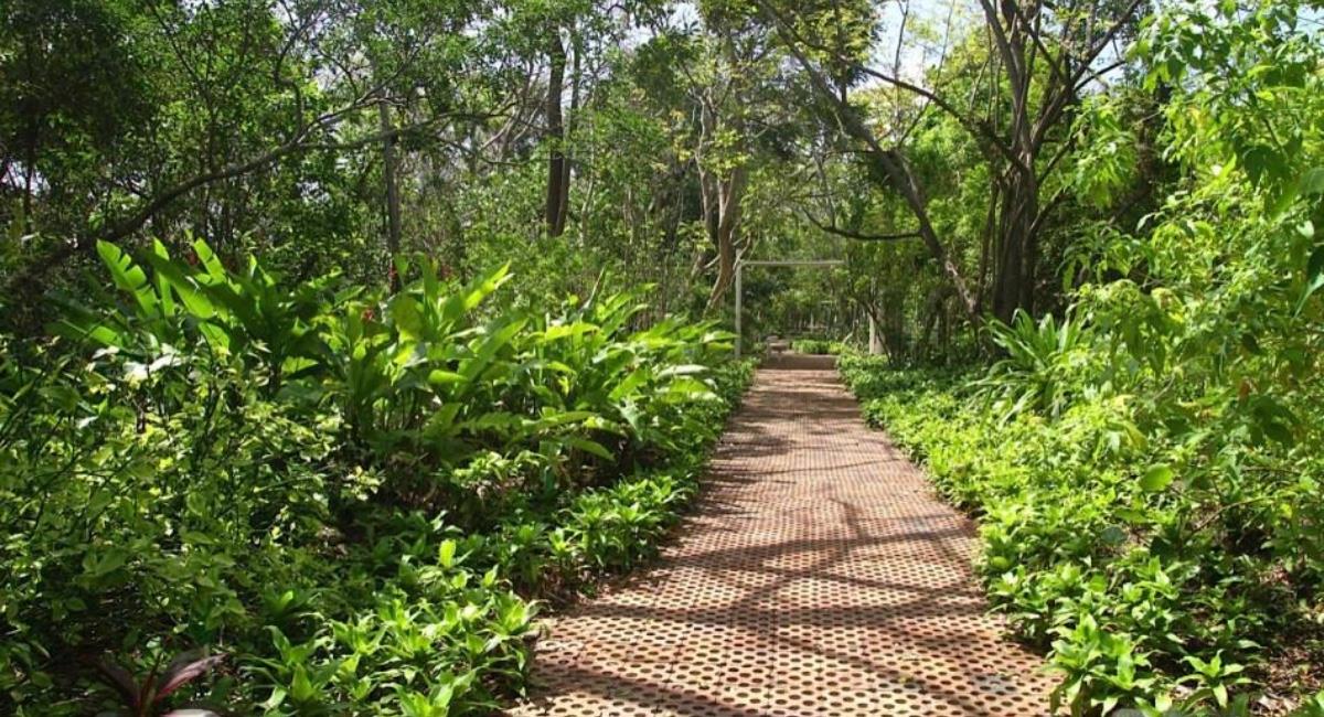 El papel del Jardín Botánico de San Andrés en el turismo y la conservación