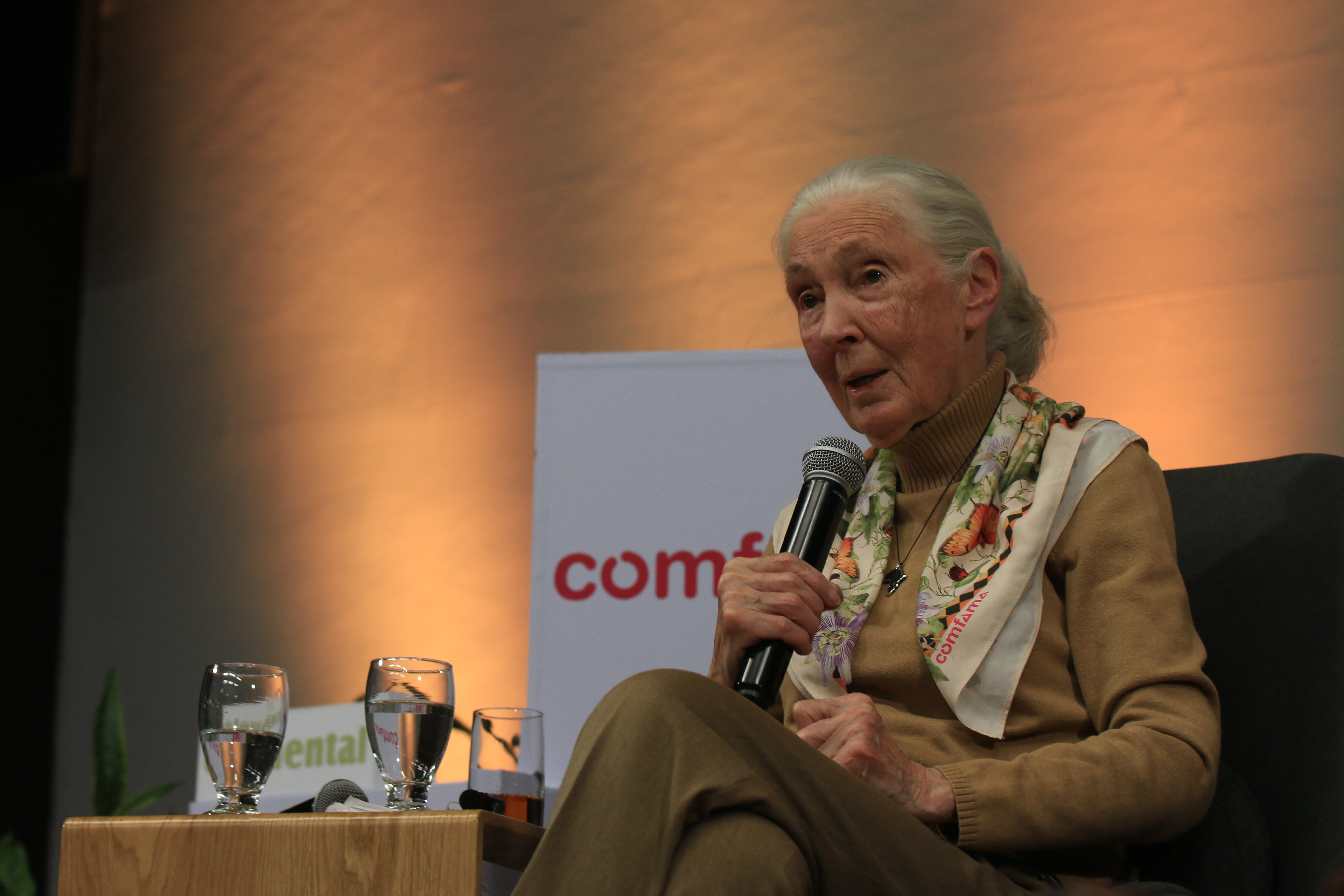 Jane Goodall llegó a Colombia con su luz y su energía transformadora gracias a la gestión de la caja de compensación familiar antioqueña Comfama. /Cortesía.