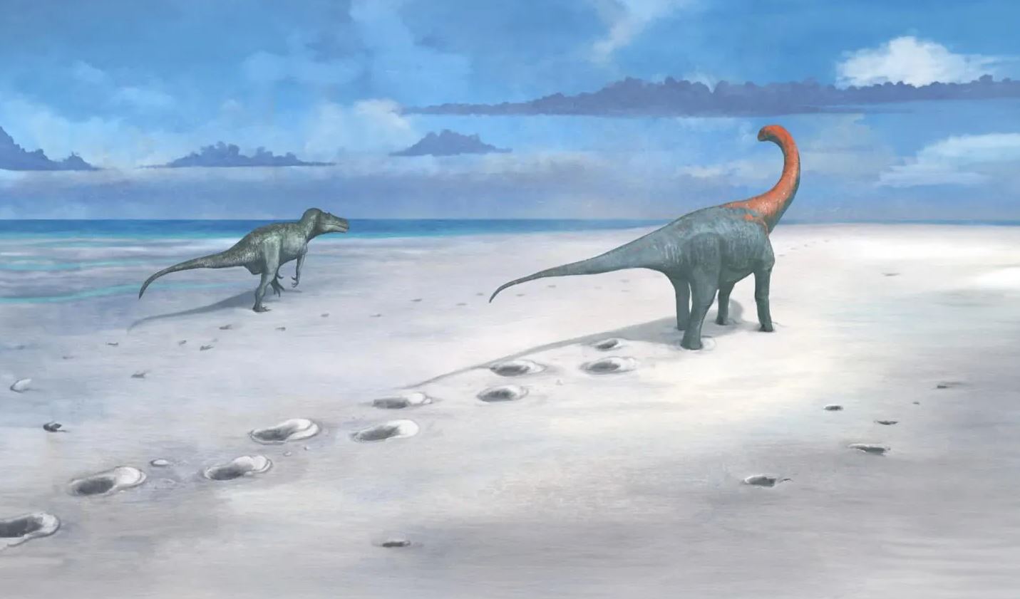Descubren una enorme “autopista” de huellas de dinosaurios en Reino Unido