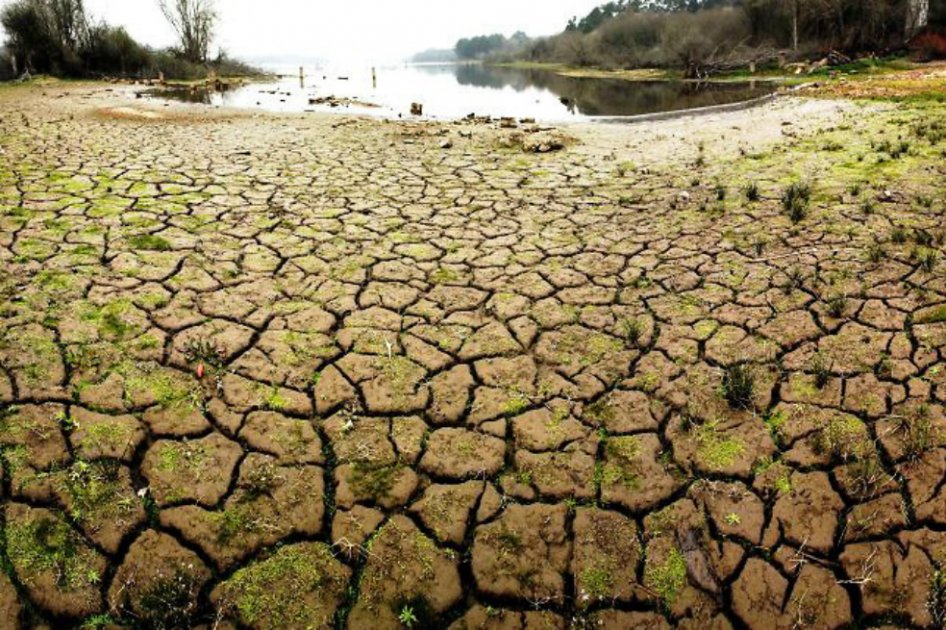 “No estamos haciendo lo suficiente”, el editorial de 27 medios de A. Latina sobre cambio climático