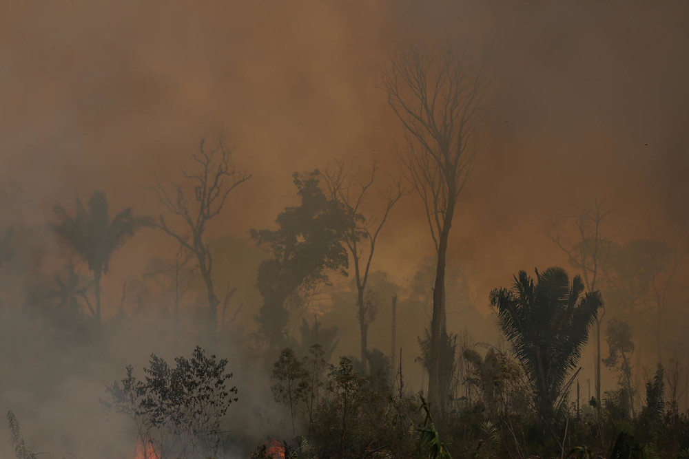 Incendio forestal en la Amazonia brasileña.