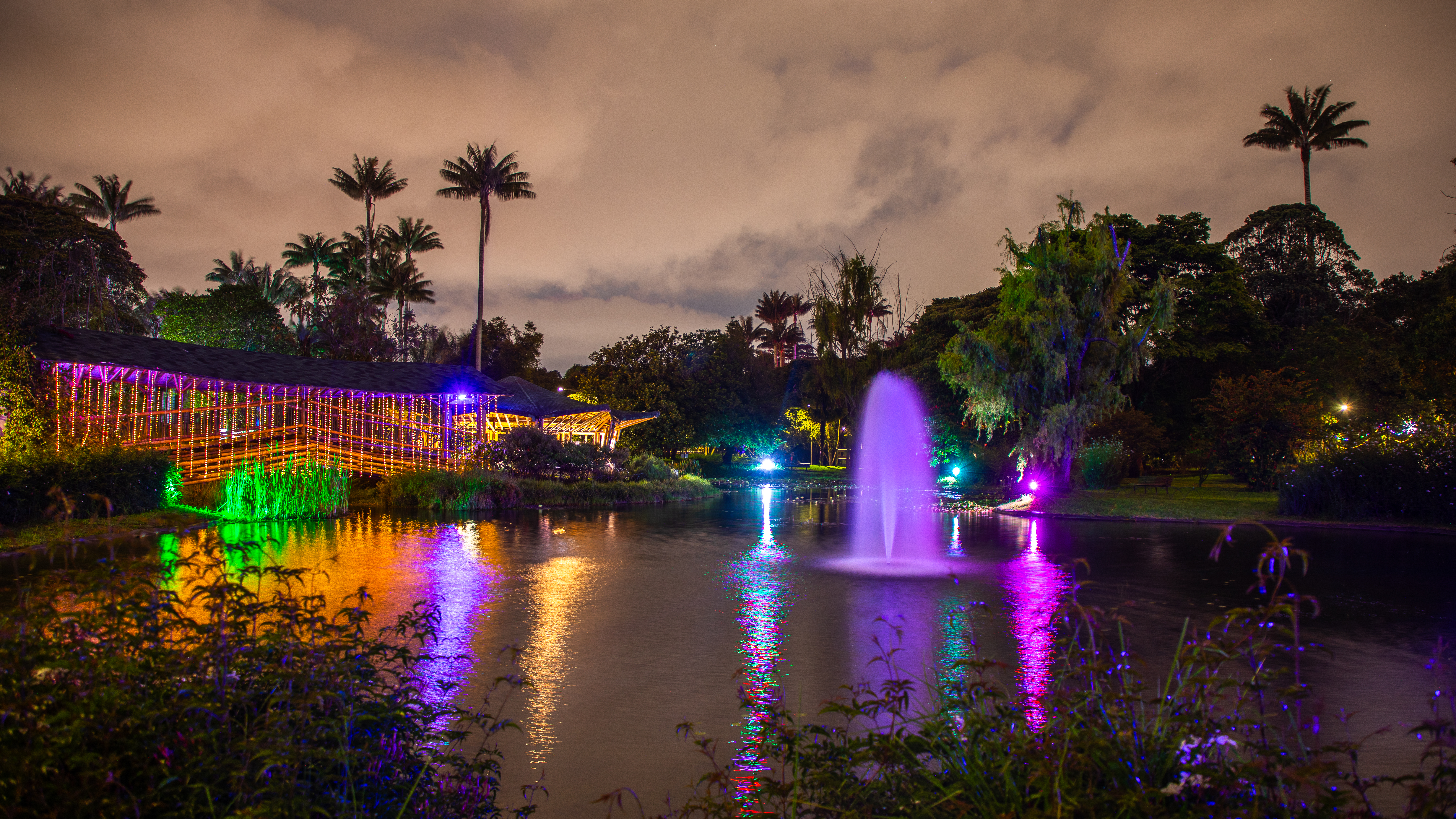 Uno de los grandes atractivos es el recorrido nocturno con siete estaciones diseñadas para explorar y fotografiar el lugar desde distintas perspectivas; se recomienda revisar la programación, donde se indican los horarios de cada recorrido guiado por expertos del Jardín.