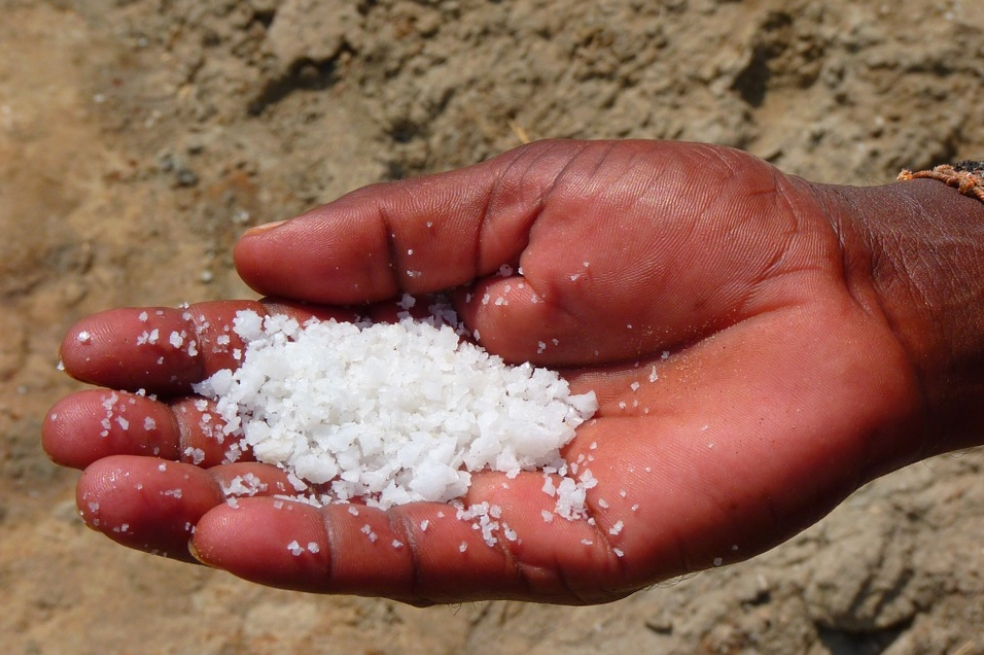 El 90 % de la sal de cocina contiene microplásticos
