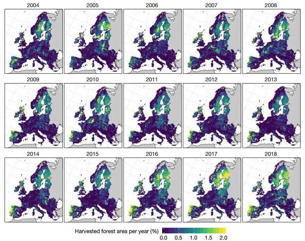 Este mapa muestra la superficie forestal cultivada por año en la Unión Europea.