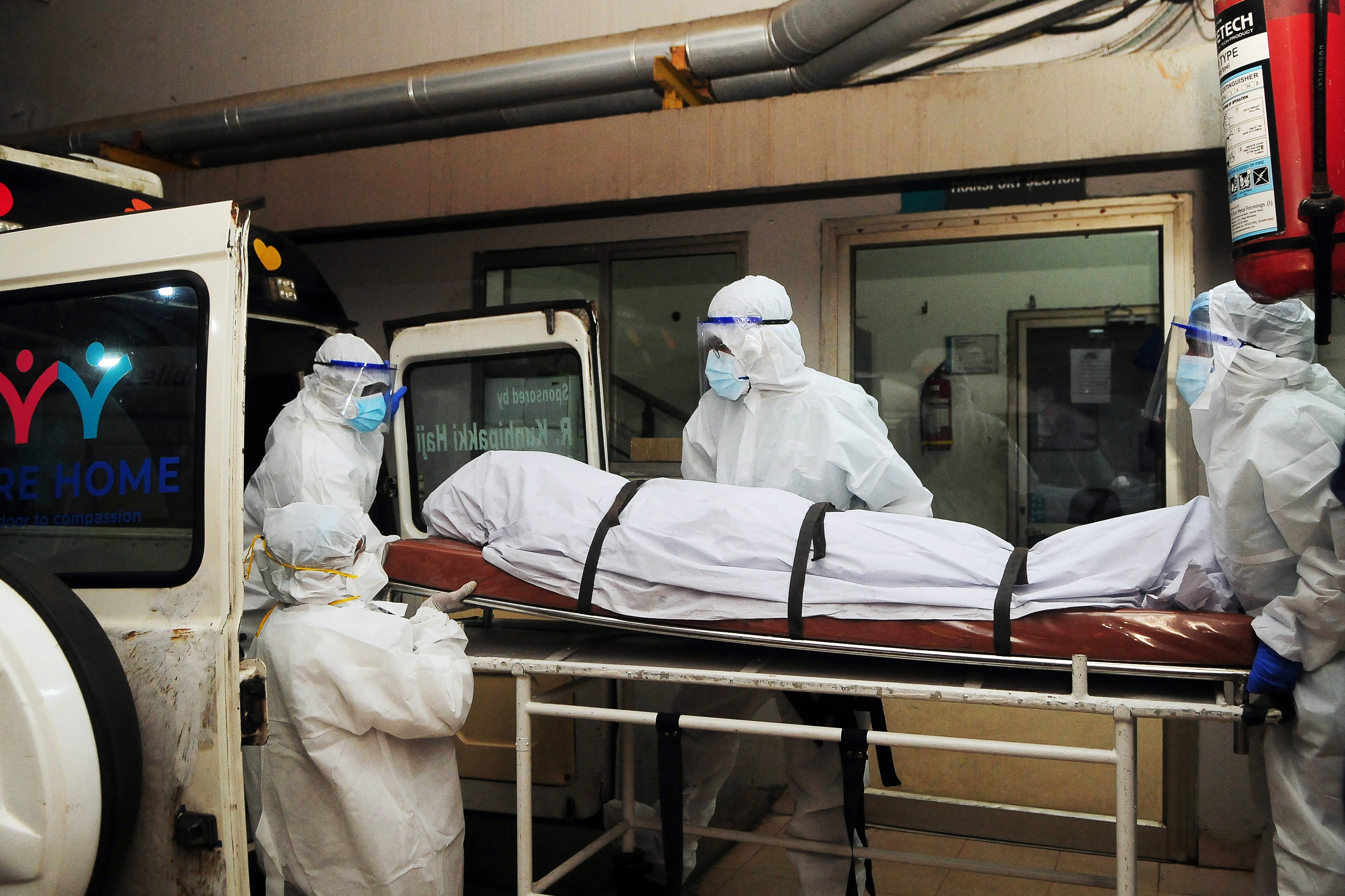 ¿Qué es el virus de Nipah, que tiene en alerta a las autoridades de salud en India?