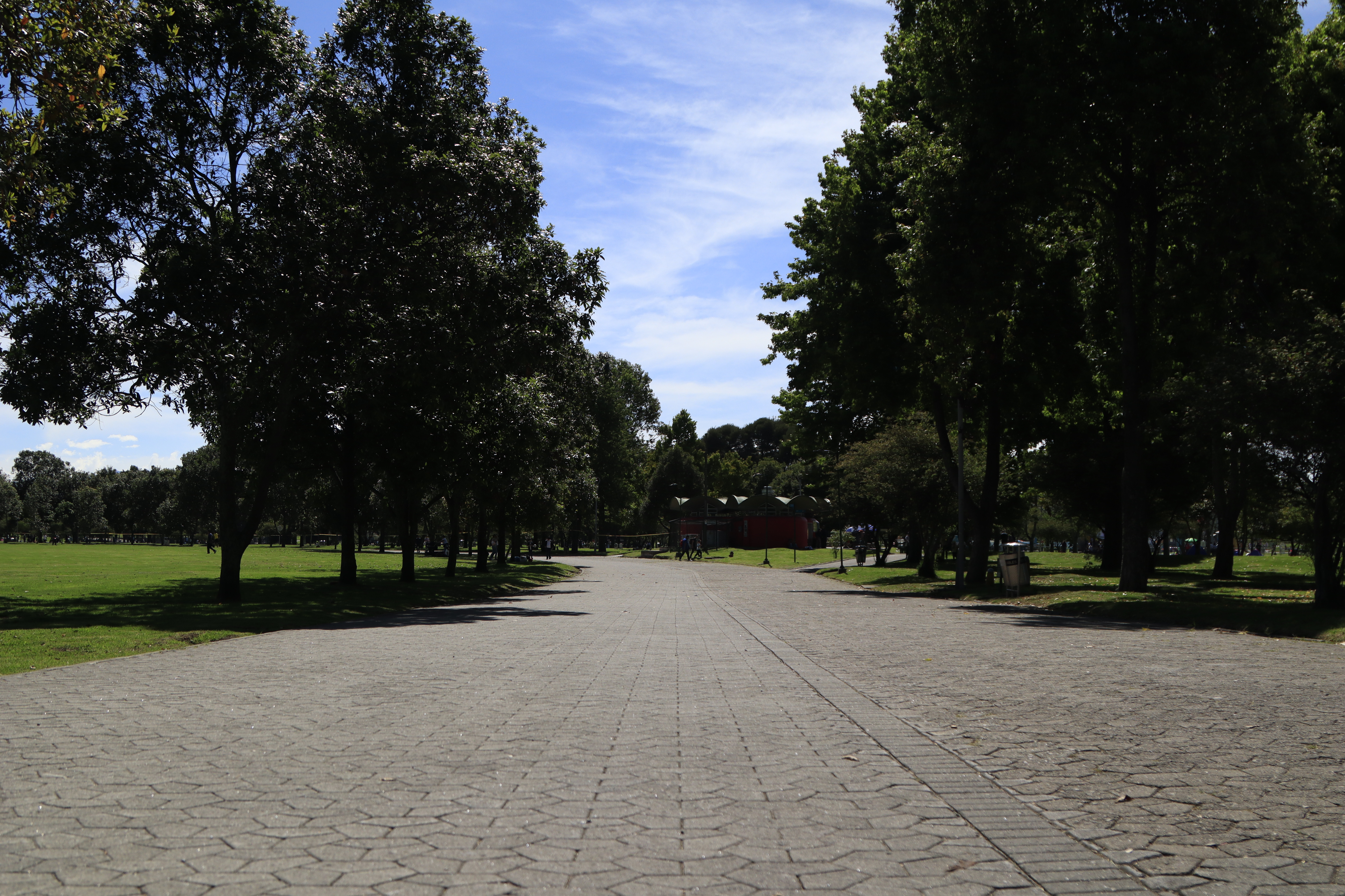Denuncian un caso de suicidio en el Parque Simón Bolívar de Bogotá