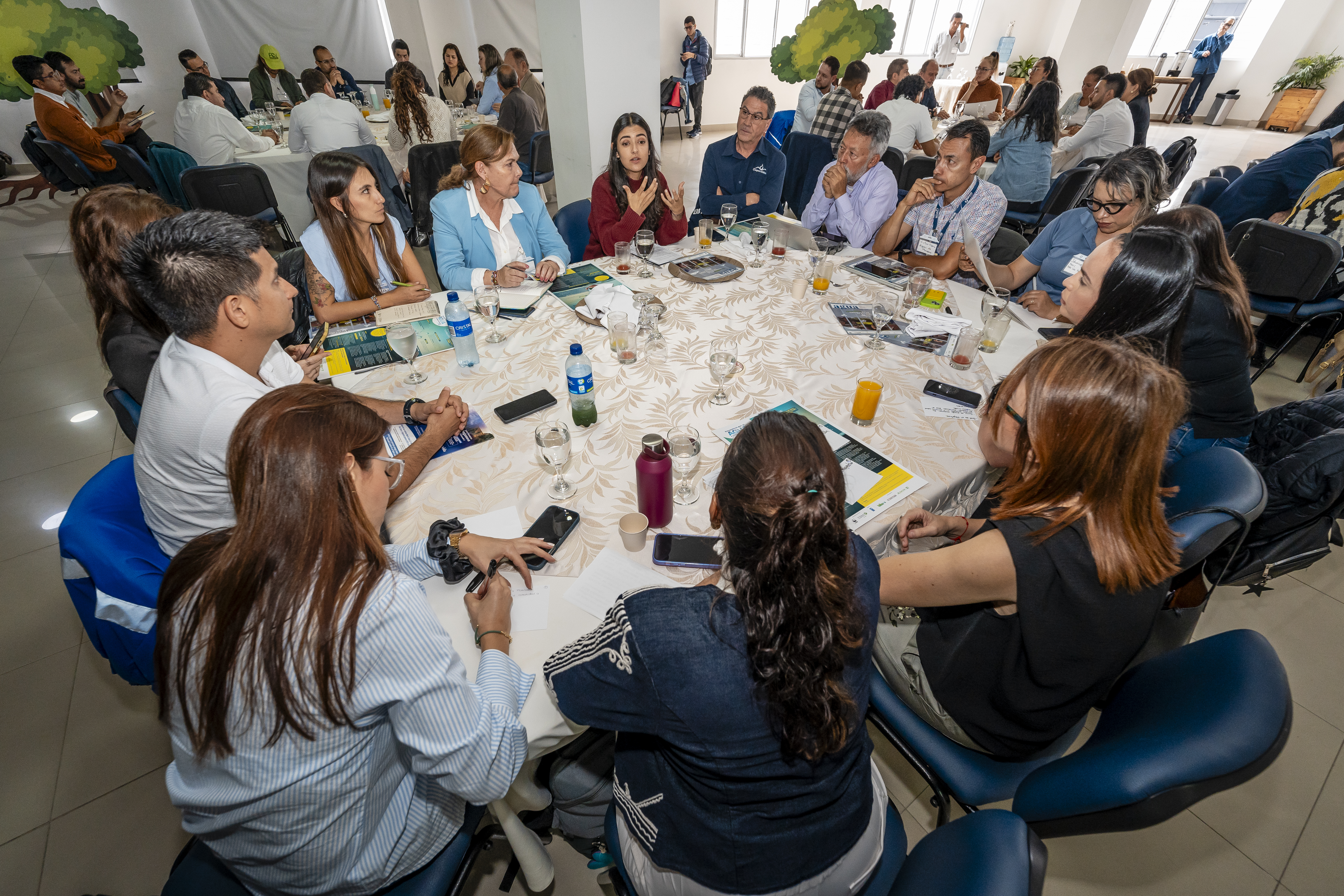 Reunión del Encuentro por el Agua y la Energía Renovable en Caldas.