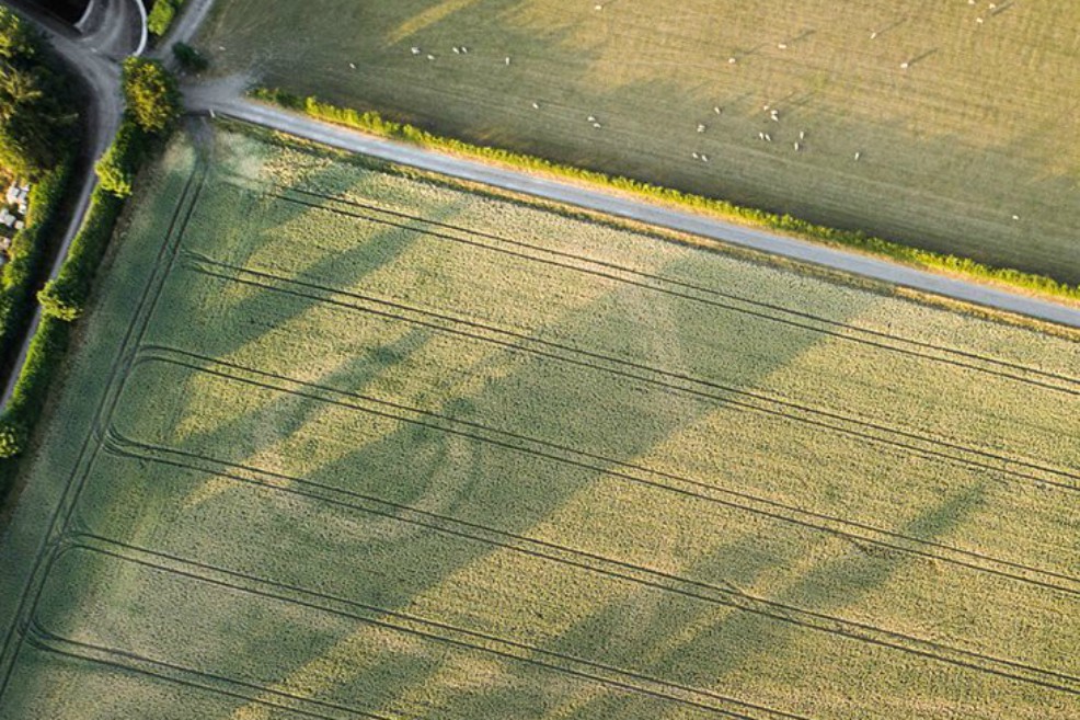 Sequía ayuda a revelar un monumento prehistórico en Irlanda
