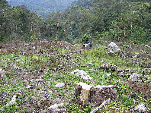 Piedemonte de Caquetá podría repetir la historia de Mocoa
