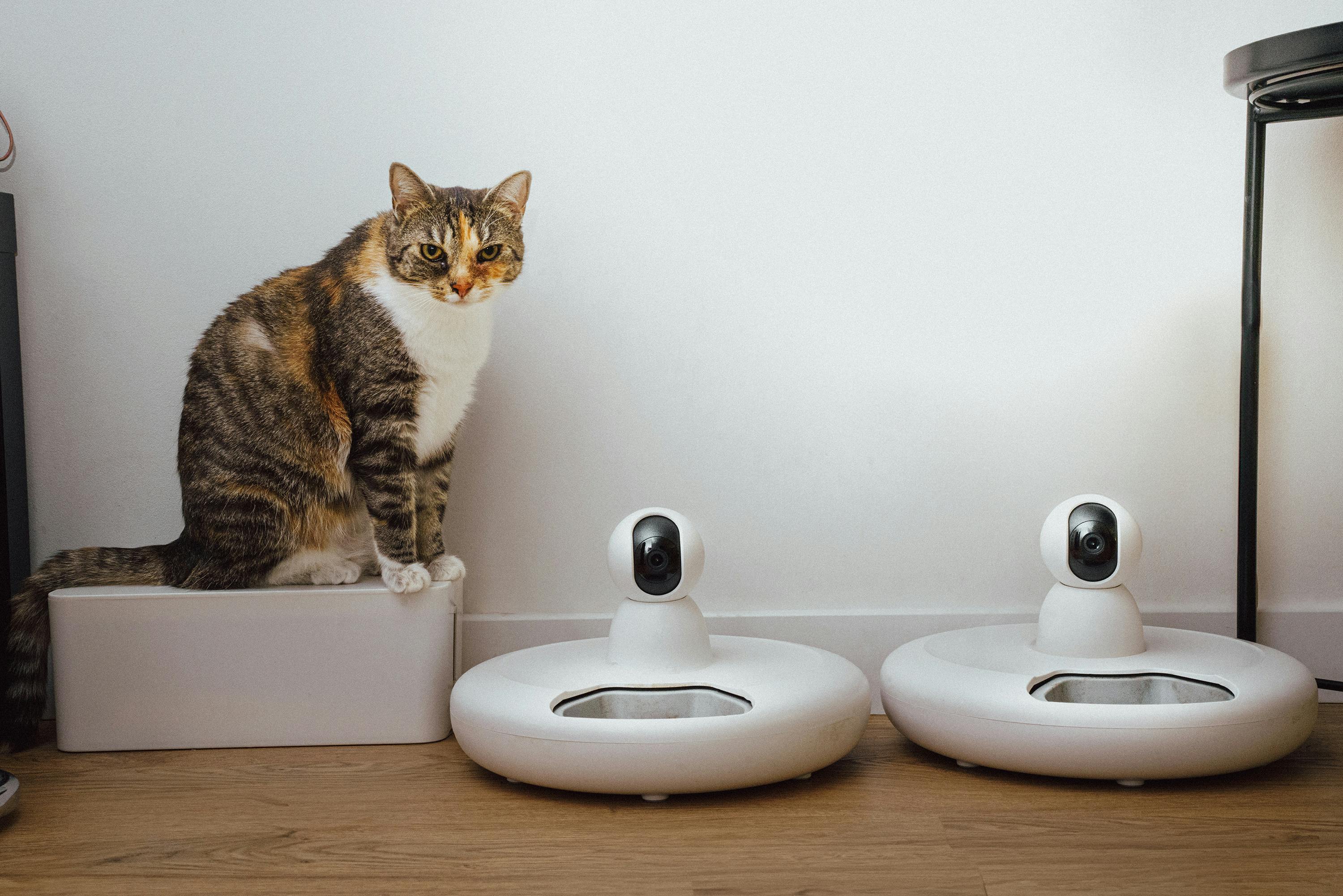 ¿Puede la tecnología reemplazar el cuidado humano de las mascotas?