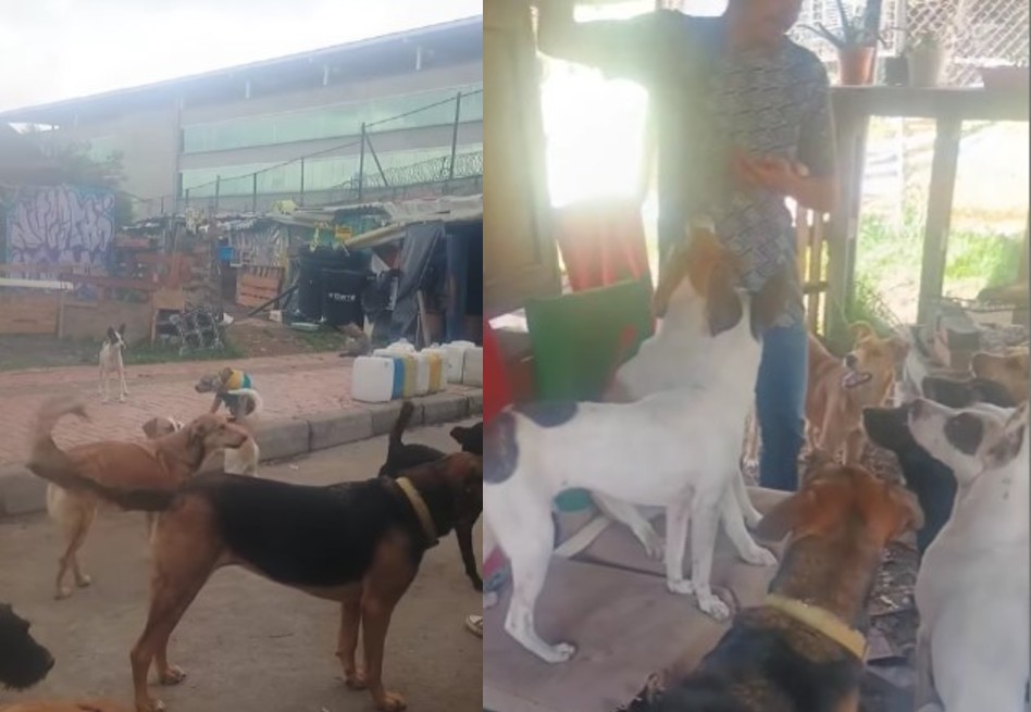 Suspenden el desalojo del refugio Callejeros Fontibón en Bogotá: ¿qué pasó?