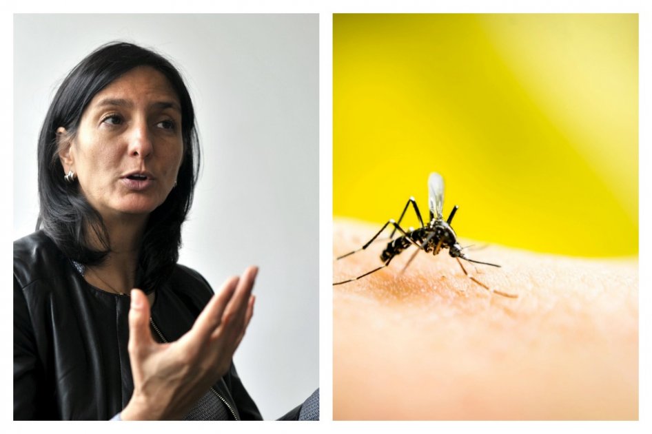 La bogotana Sandra Besada Lombana es la directora médica del programa de Sanofi Pasteur Dengue para Latinoamérica.
