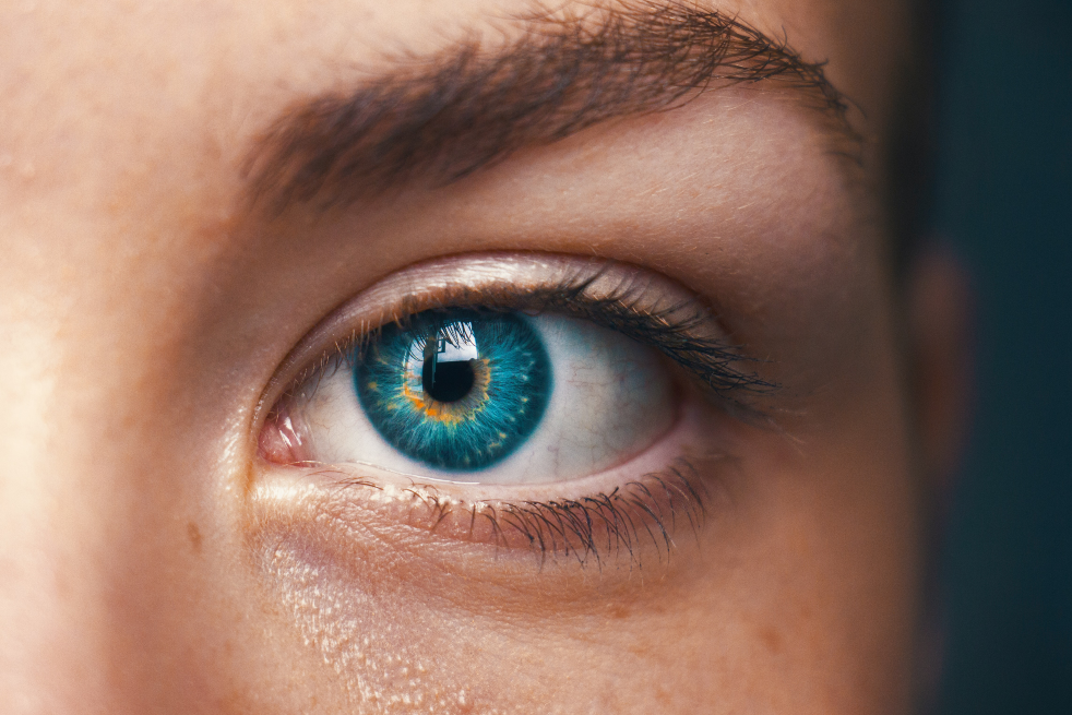 Piel: ¿Cómo rejuvenecer el contorno de ojos de manera natural?