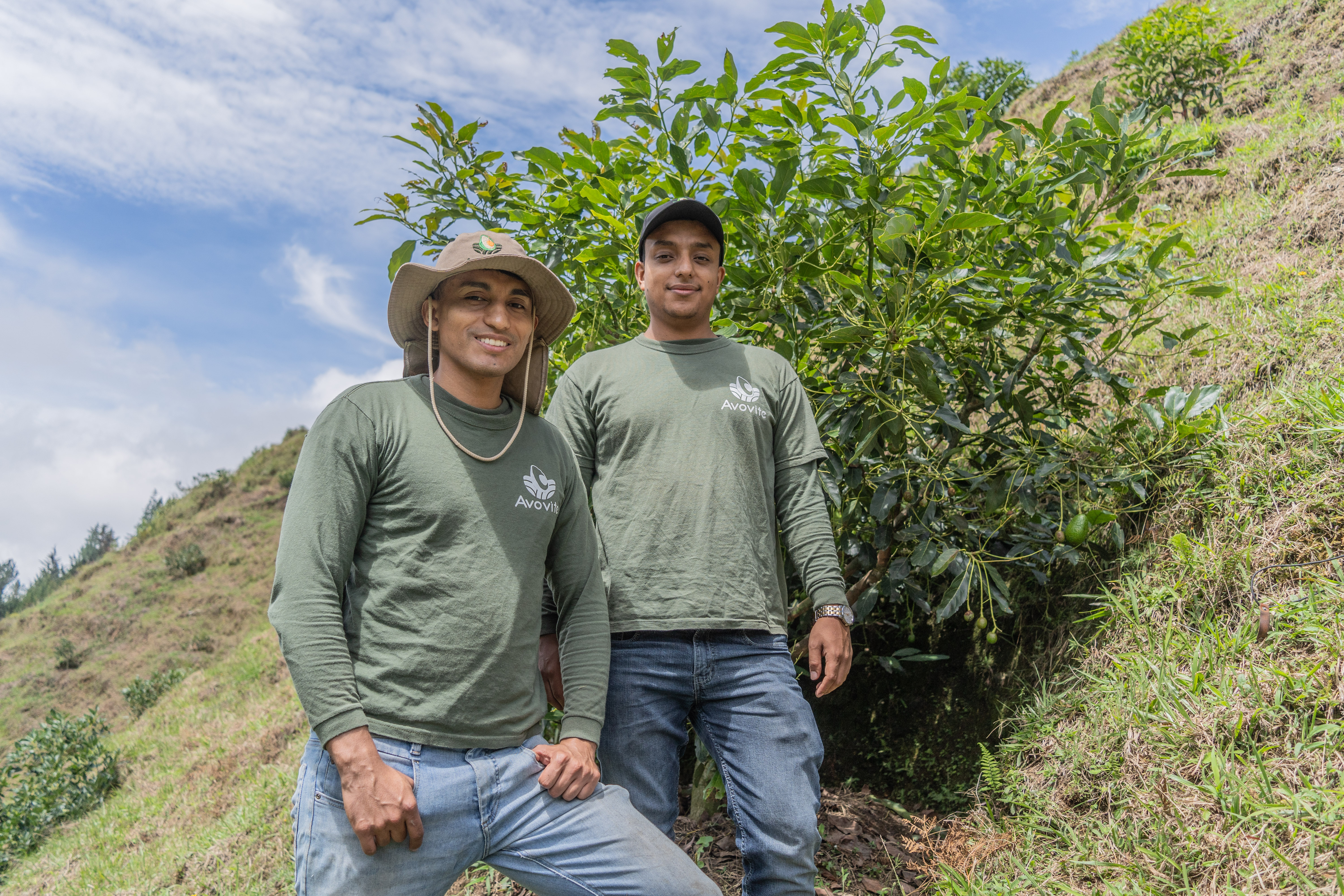 La empresa de agro que cultiva y comercializa aguacate hass en Colombia