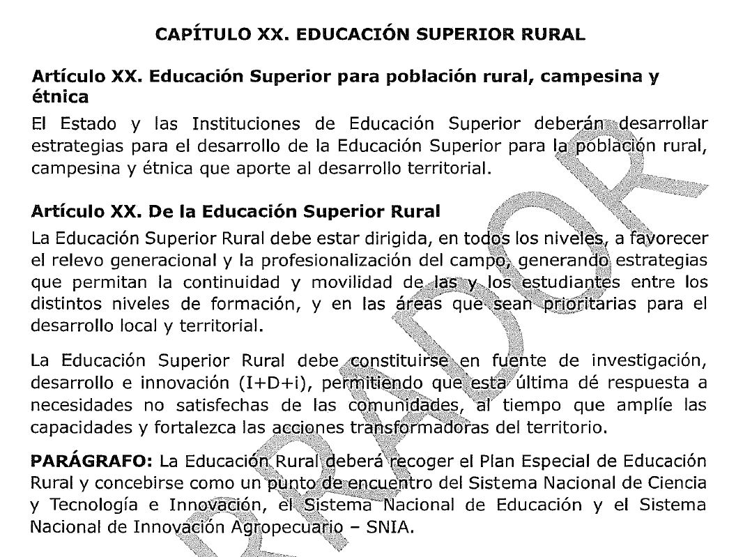 Capítulo especial a la educación superior rural.