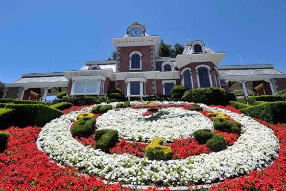 Un Neverland en Shanghai