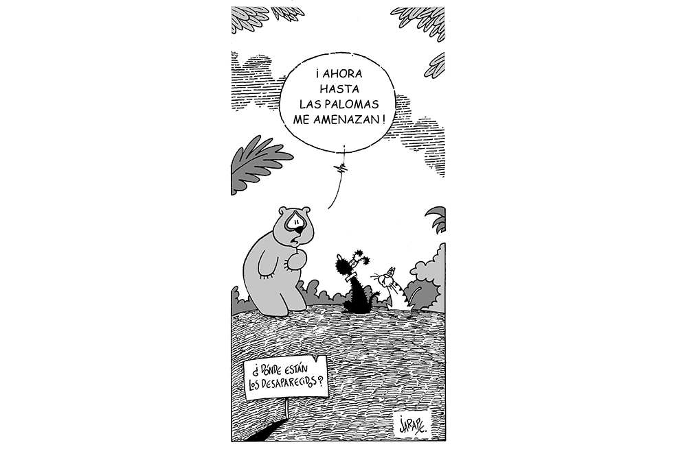 Cándida