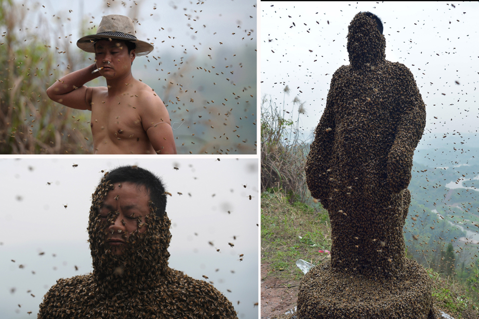 Vestirse de abejas para este hombre es una opción