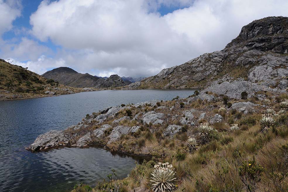 La nueva ruta del Minambiente para delimitar los páramos