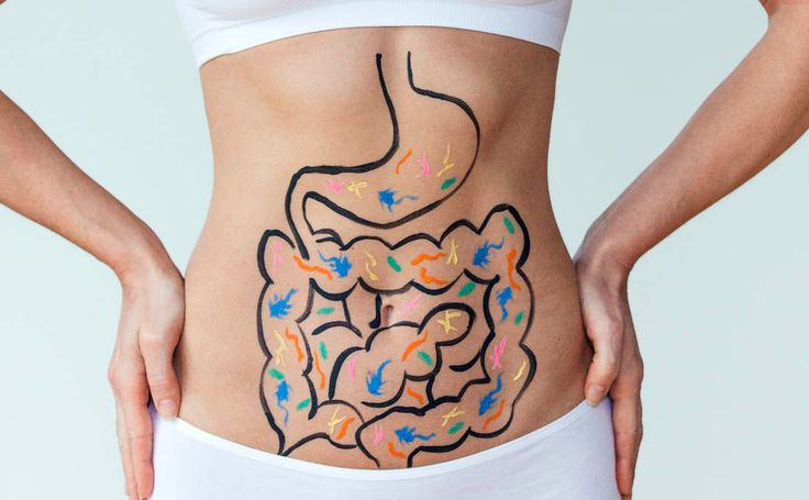 Diez consejos clave para tener un intestino sano y feliz, según una experta