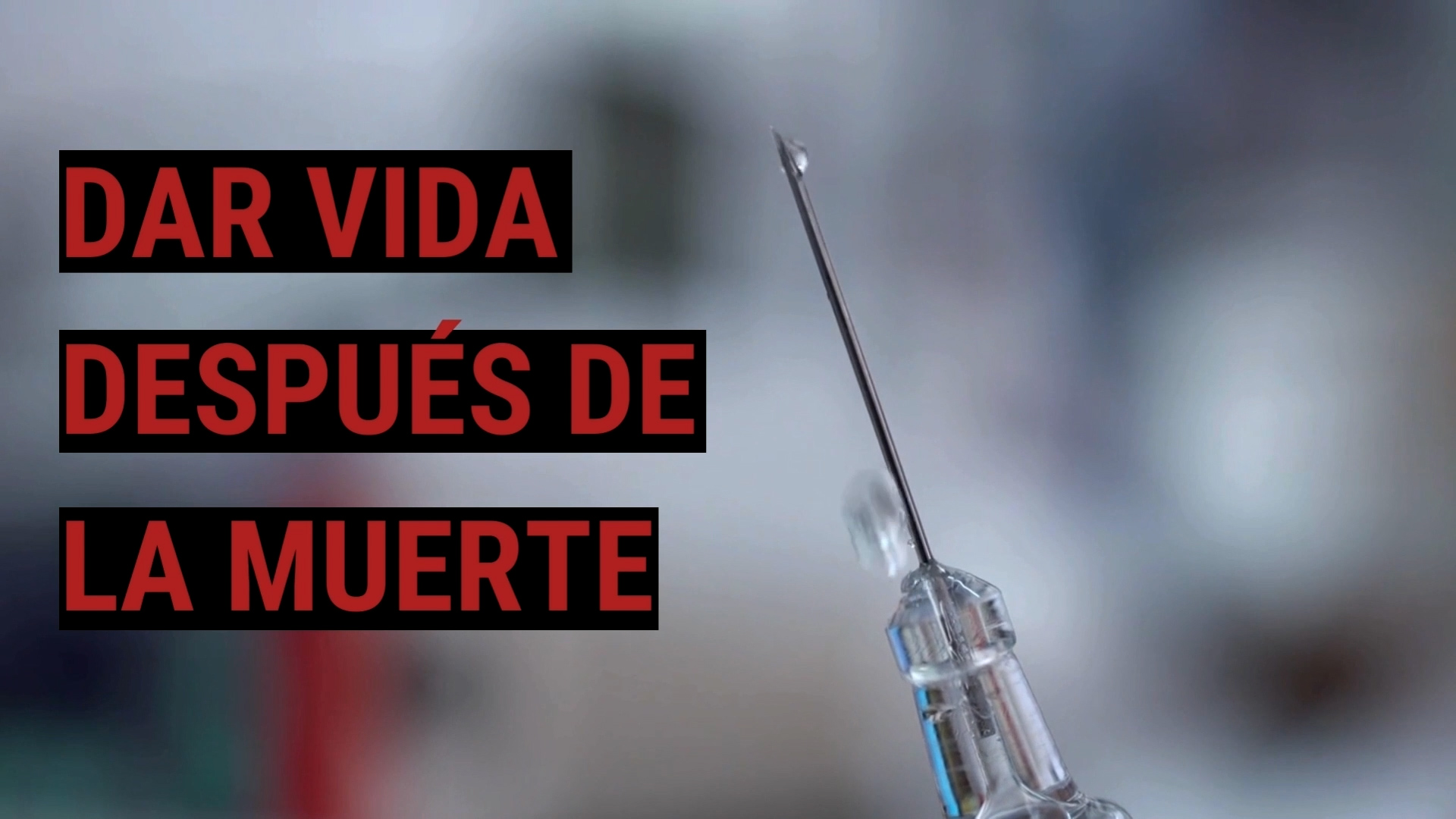 Dar vida después de la muerte
