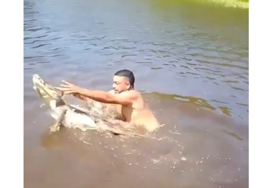 Hombre fue sorprendido por un caimán cuando se bañaba en un playón en el Cesar