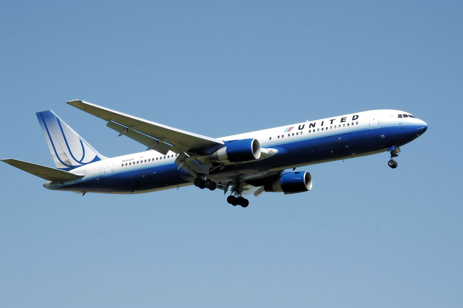 Muere un conejo gigante en un vuelo de United Airlines