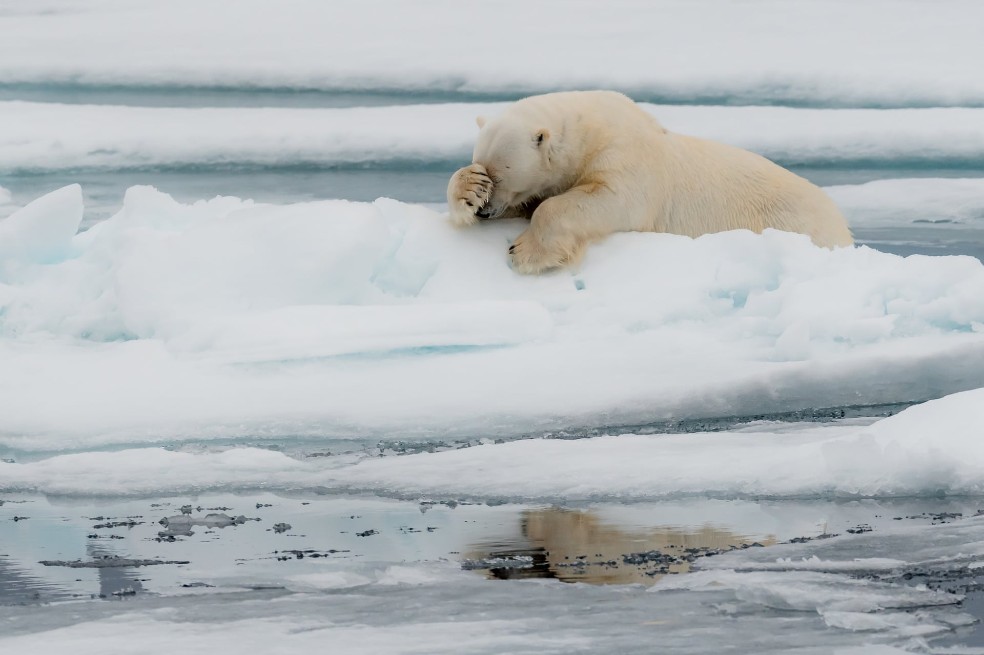 Estas señales demuestran que la Tierra se está acercando a un desastre climático