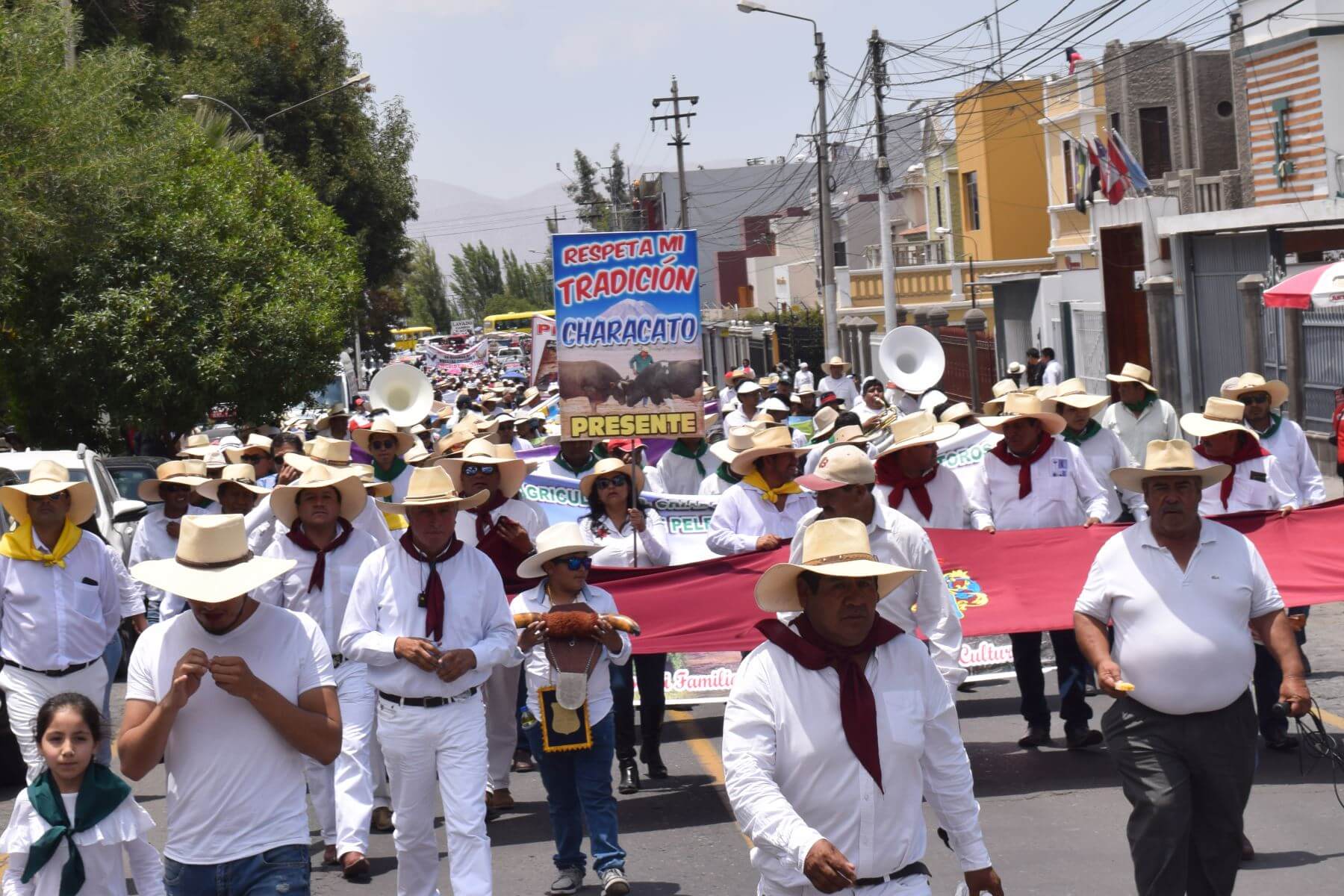 Miles de peruanos marchan en defensa de las corridas de toros y peleas de gallos