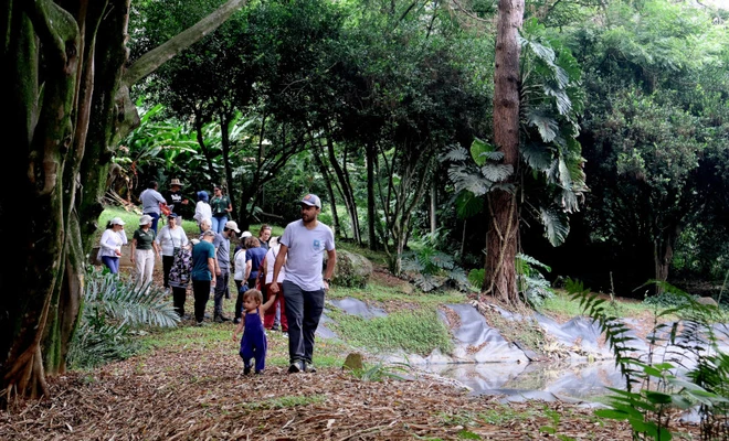 Abren al público un nuevo humedal en el sur de Cali: así puede disfrutar del plan gratuito