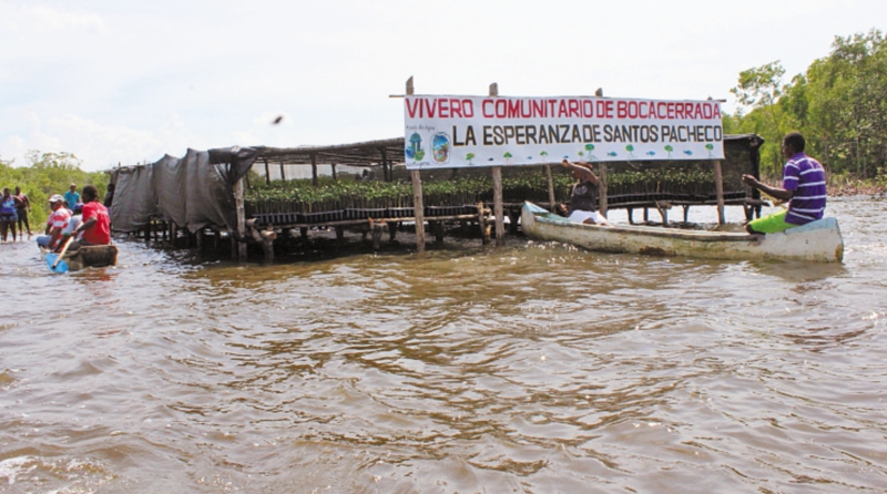  En Bocacerrada ya está funcionando un vivero, con 20.000 plantulas de manglar.  / Fotos: Cortesía Fondo de Agua de Cartagena