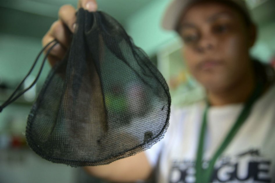 Llegada del zika a Bogotá es solo una especulación: Minsalud