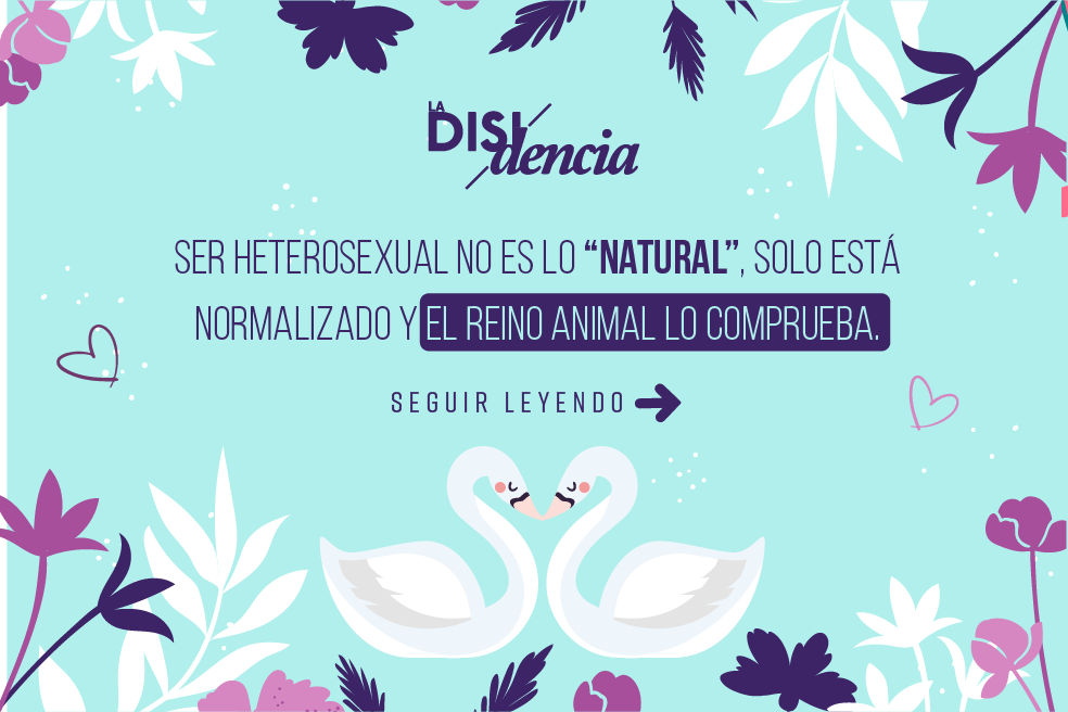 ¿Piensas que ser gay es antinatural? Los animales dicen lo contrario