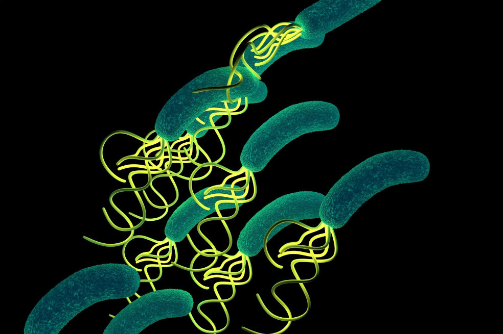 Crean método que acaba con la tuberculosis y cáncer de estómago