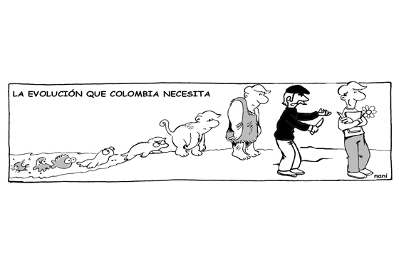 Evolución
