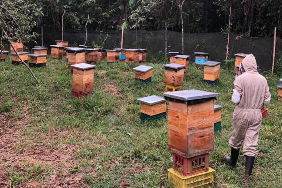 La apicultura como apuesta a la conservación de los Farallones