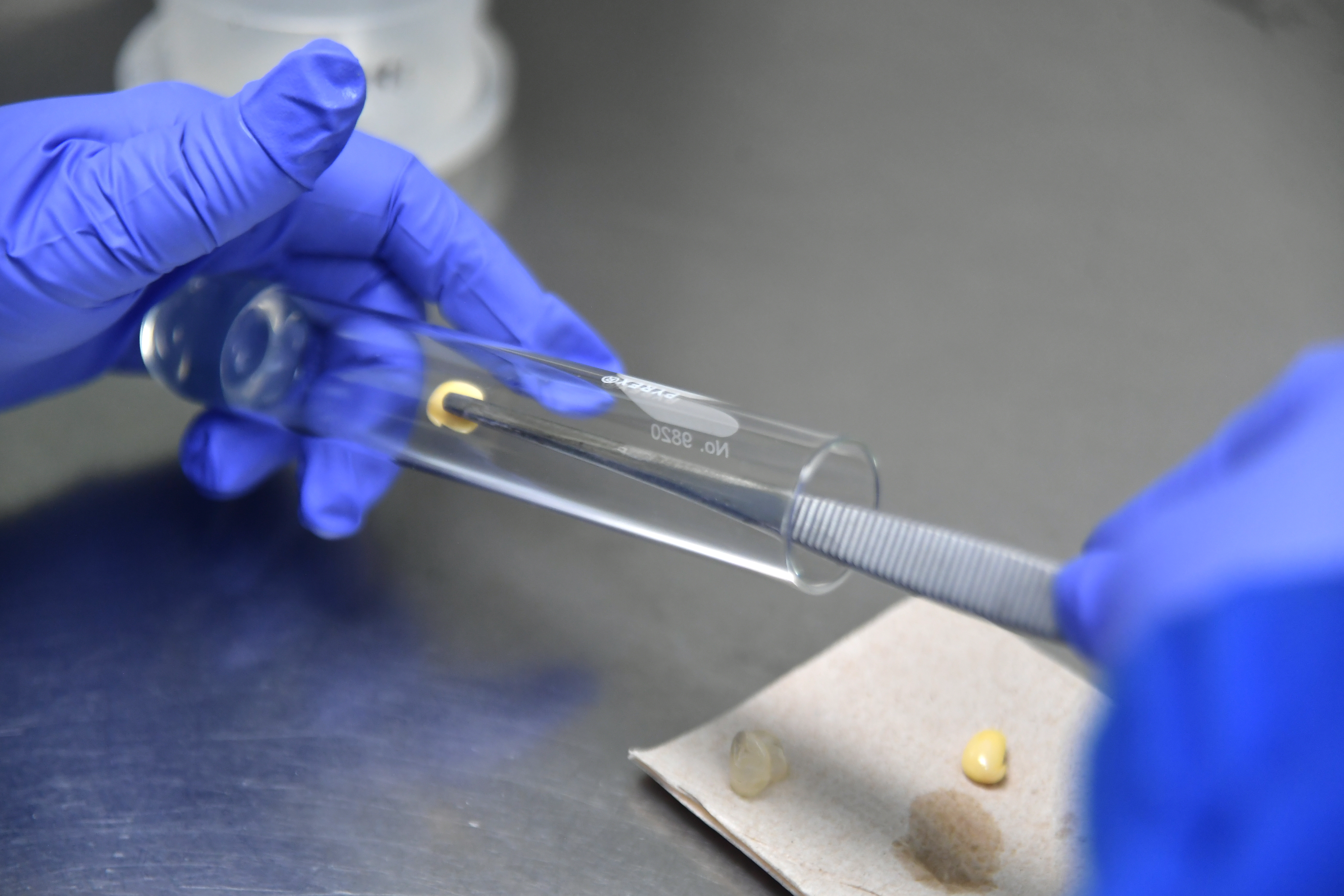 Minciencias abre convocatoria para dar reconocimientos económicos a investigadoras