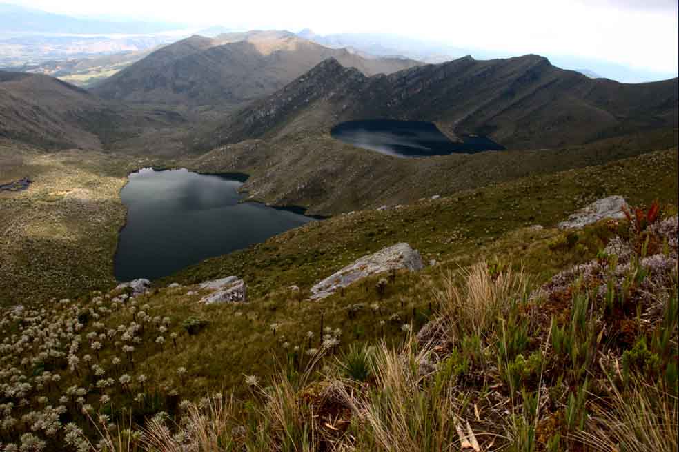 Tesoros naturales
