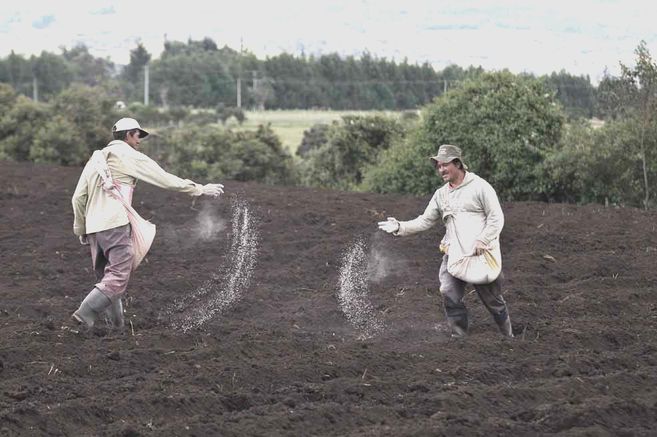 Proyecto con alivios financieros para pequeños y medianos campesinos recibe primer debate
