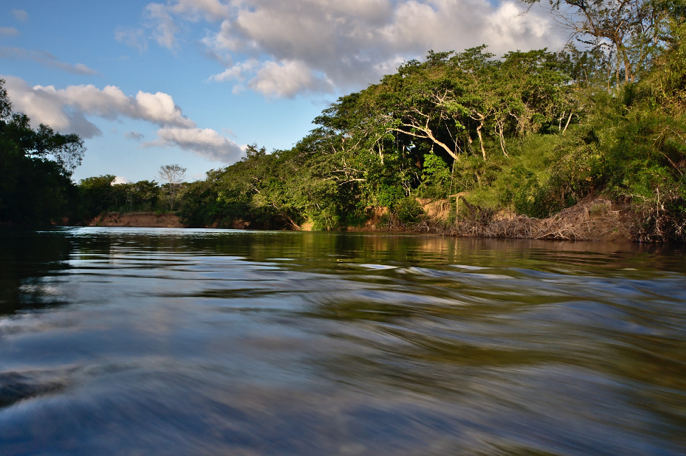 “Selva trágica”, una aventura mística mexicana en San Sebastián